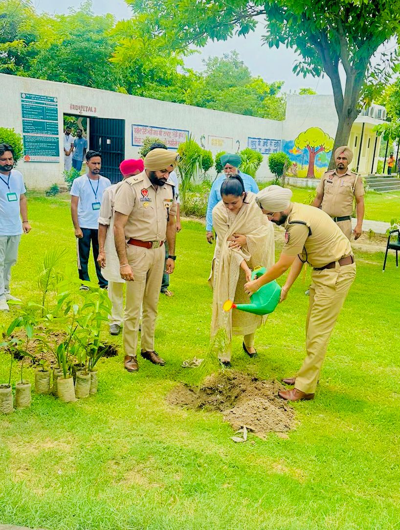 Officials of the District Legal Services Authority planted saplings at different places